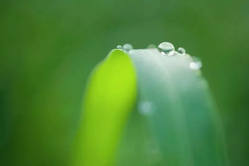 综合素质|【朗诵】修养，教养，素养，涵养