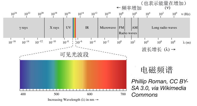 金星_天文行星|金星成为“网红”的二三事