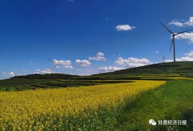 通渭縣馬營鎮華川油菜花資源豐富,構築了魅力獨特的隴中風情.