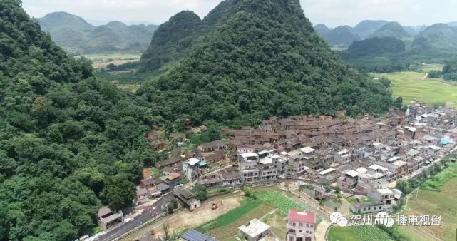 分別為:賀州市富川瑤族自治縣朝東鎮岔山村,南寧市青秀區南陽鎮施厚村