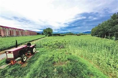 丰台区|丰台这处文化体验园预计国庆开园迎客！