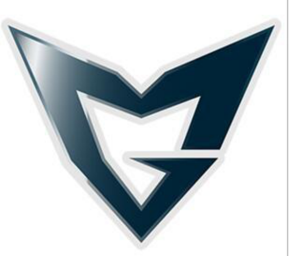 是很了解geng是谁,geng的前身是三星(samsun)就是之前的三星(sso,ssw