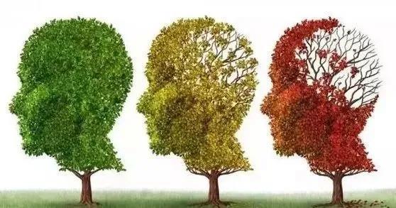 创伤后应激障碍|陈根：后疫情的创伤后应激障碍，将如何影响老年痴呆？