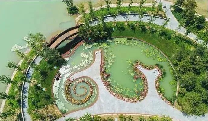 西园|“最大绿肺”温榆河公园朝阳示范区西园怎么逛怎么玩？攻略在这里！