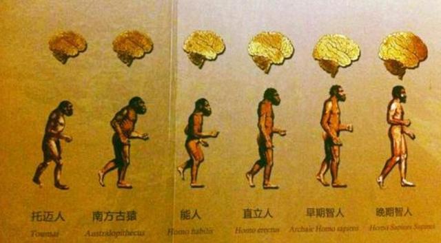 化石|沙特又发现一宝贝！12万年前的足迹，让人类历史变迁再添新证据