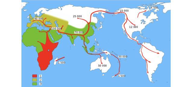化石|沙特又发现一宝贝！12万年前的足迹，让人类历史变迁再添新证据