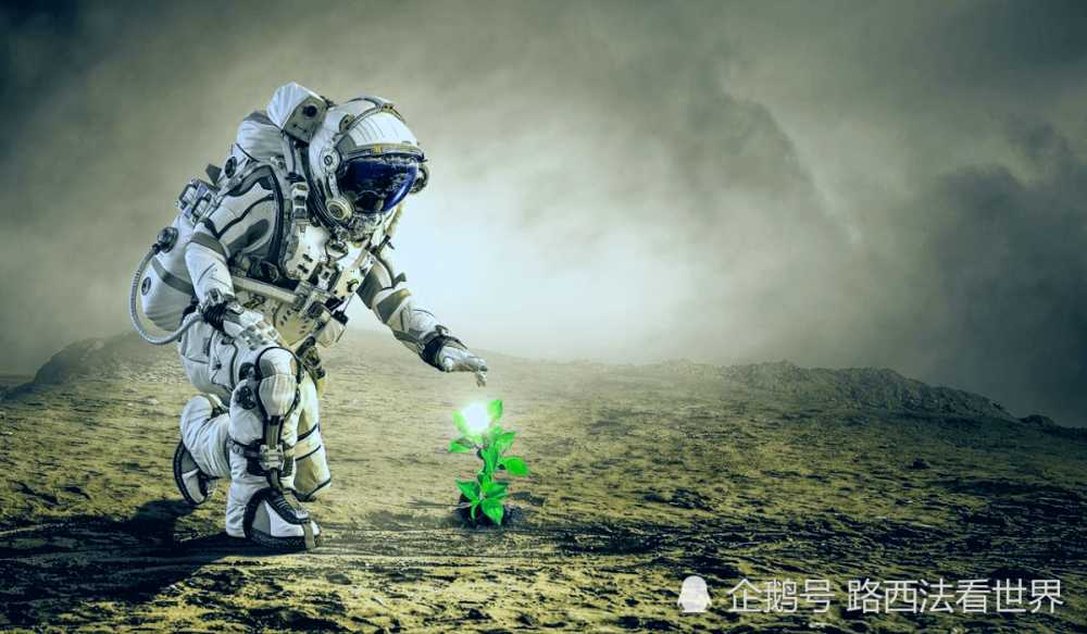 金星_天文行星|要把金星变成“俄罗斯的行星” 俄罗斯航天人又有新目标