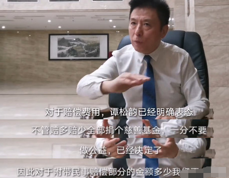 谭松韵|谭松韵母亲被撞案肇事者获刑6年，谭松韵将捐出全部赔偿费用