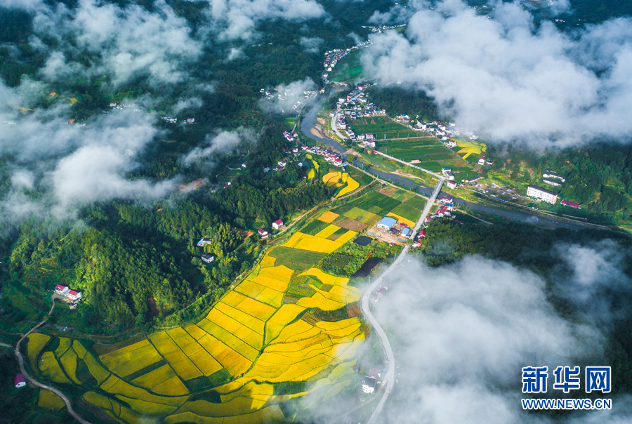 【“飞阅”中国】云上山乡浸秋色