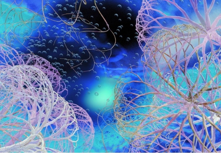 奇妙的微观世界!