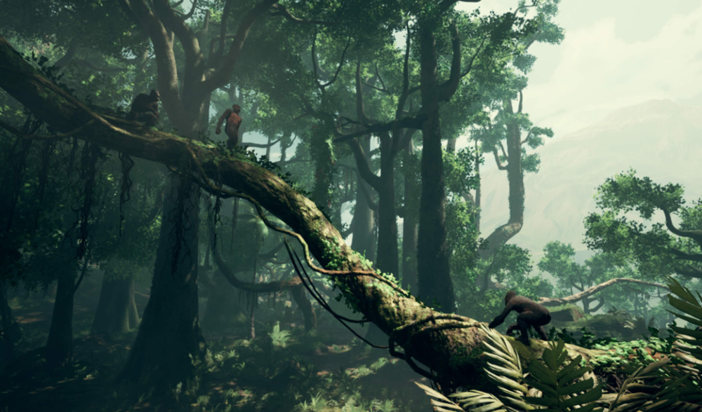 进化|现代的猴子也能进化成人？科学家担忧：巴拿马猴类已进入石器时代