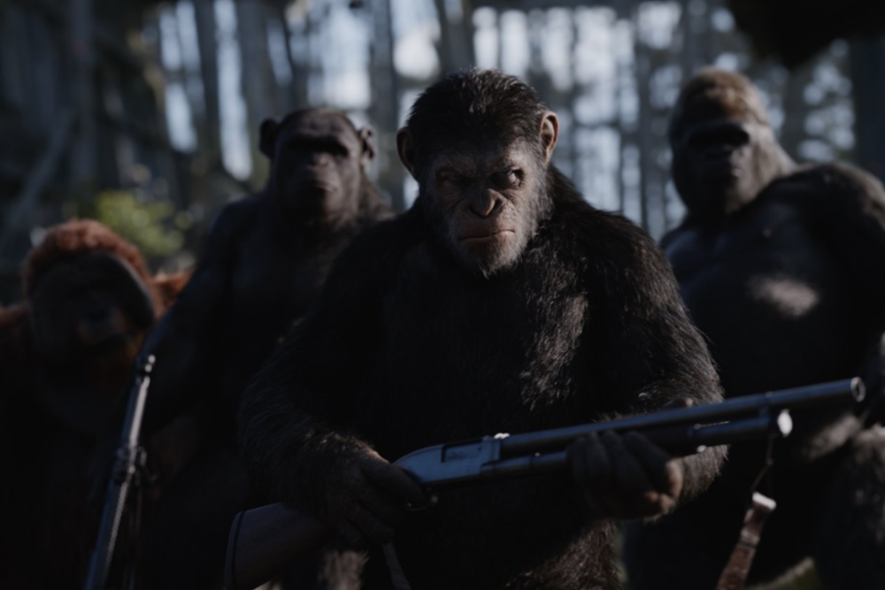 进化|现代的猴子也能进化成人？科学家担忧：巴拿马猴类已进入石器时代