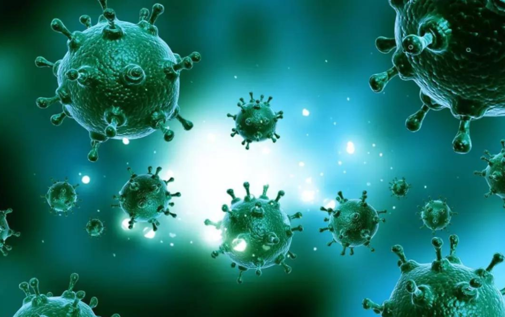 进化|现代的猴子也能进化成人？科学家担忧：巴拿马猴类已进入石器时代