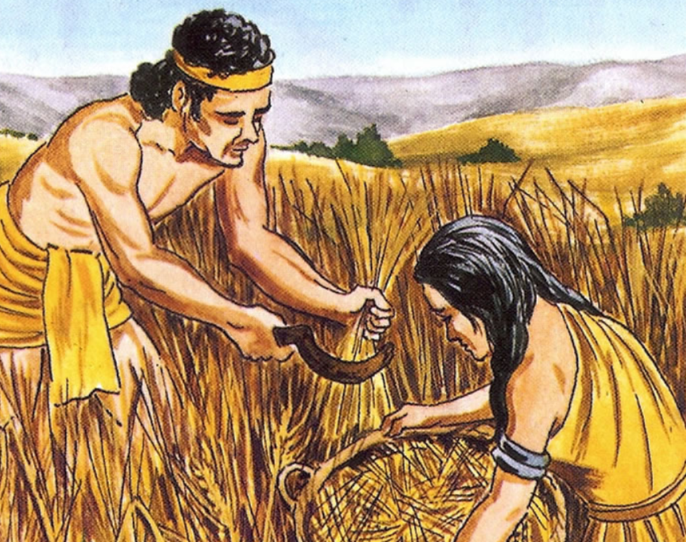 进化|现代的猴子也能进化成人？科学家担忧：巴拿马猴类已进入石器时代