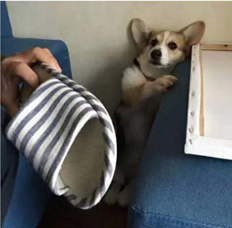 熔岩灯|自制冰雪琉璃·Q·雅·蕾玥瑷雅·曦梦月·熔岩灯