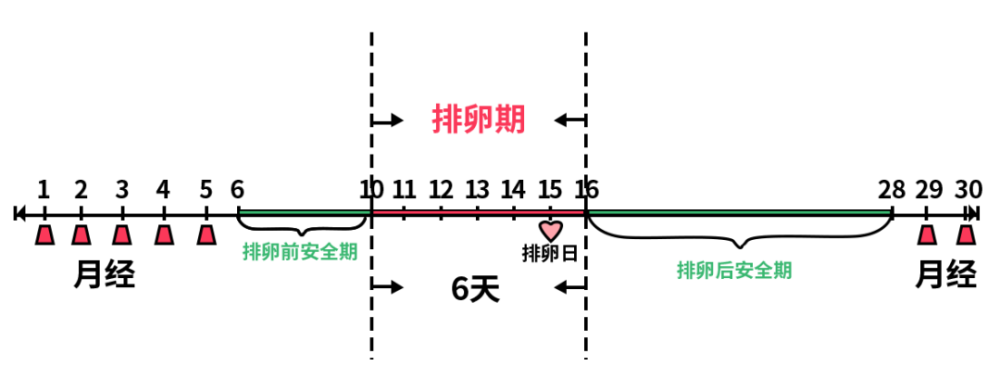 排卵期|排卵期的女性身上会发香？我们采访了几位男性