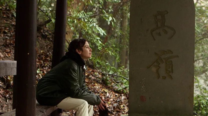 安田猛|千年瓷都的危机时刻