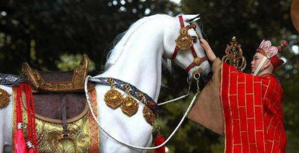 白龙马|《西游记》五号主角“白龙马”下场凄凉，晚年沦为景区赚钱工具