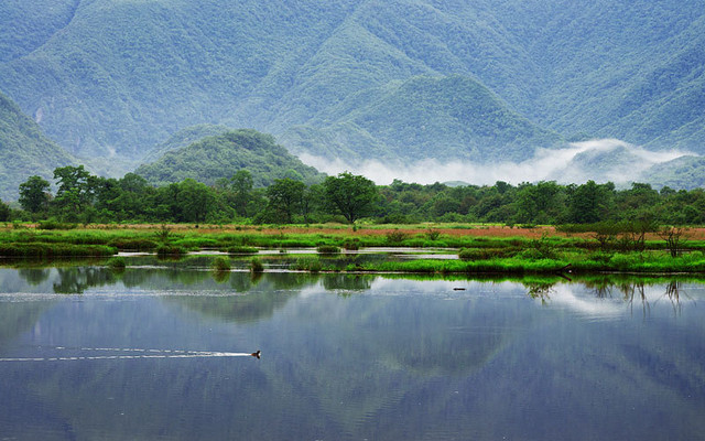 神农架林区|原始森林最深处：神农架，真的存在“野人”吗？