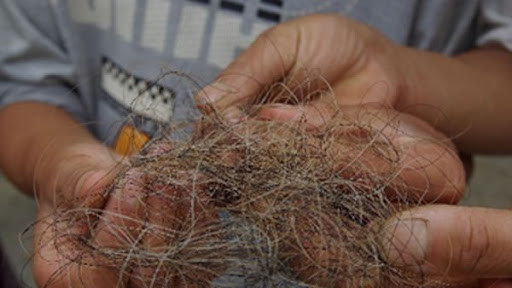 神农架林区|原始森林最深处：神农架，真的存在“野人”吗？