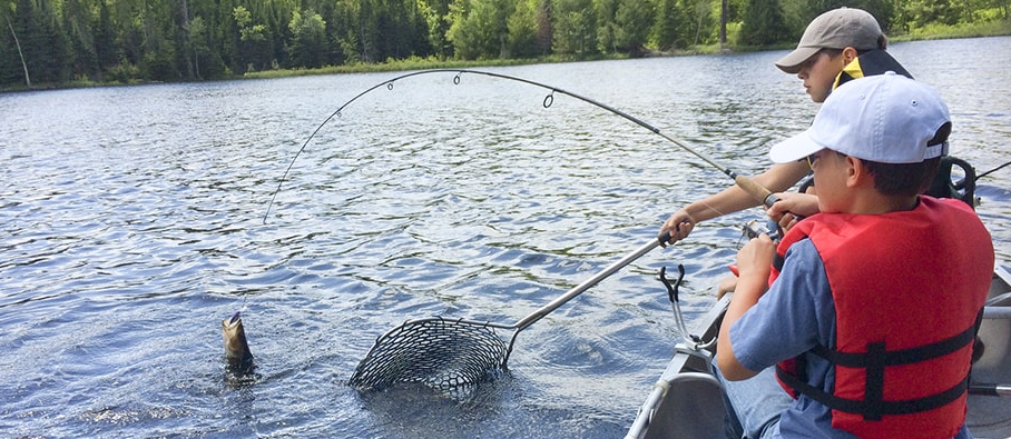 瞭解什麼時候在湖上釣魚,如何在湖上釣魚,獲得湖邊釣魚技巧等.