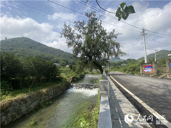 中部崛起势正劲湖北篇鄂州汀祖镇生态助力乡村振兴