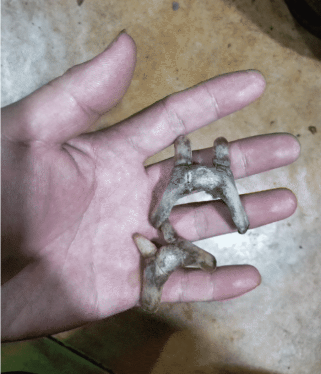 "哈哈…我也不想这样做!