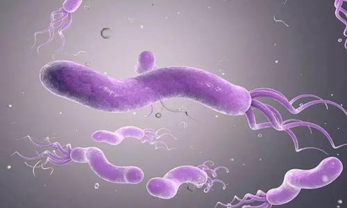 慢性浅表性胃炎|浅表性胃炎严重吗？到底该怎么治？