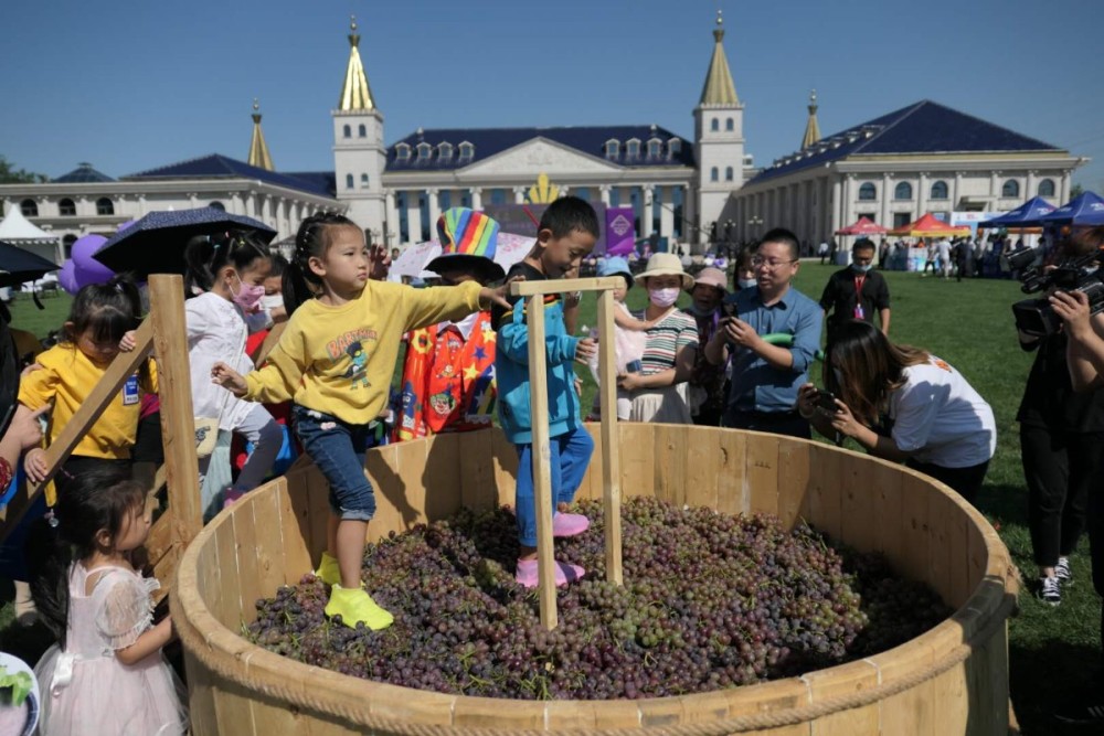 红酒|首届房山葡萄酒文化节开幕，共安排八场特色活动