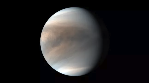 金星_天文行星|深度解析“金星上发现生命标志物”背后的故事
