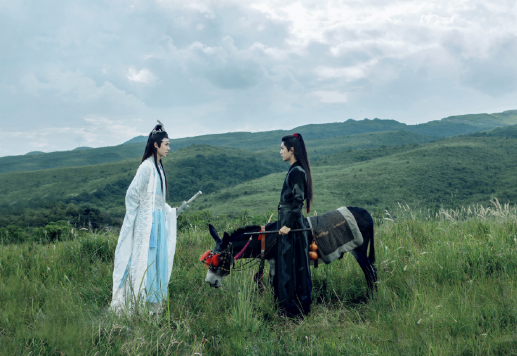 陈情令|《陈情令》《枕上书》为何落选金鹰奖提名？究其原因，主要有两点