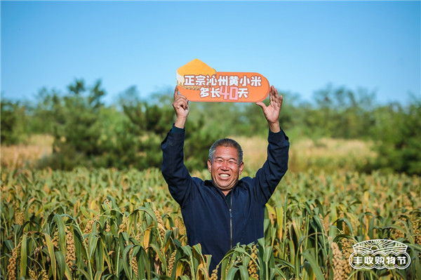 山西沁州黃小米