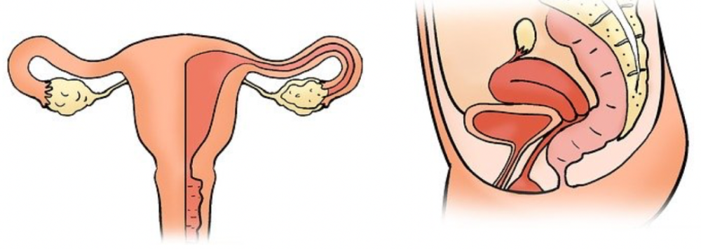 pixabay|“跟随直觉”的人，可能更相信上帝