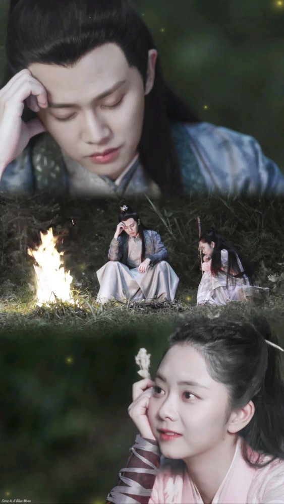 最美偶像cp榜单发布博君一肖无缘前三第三名竟然都没有合作过