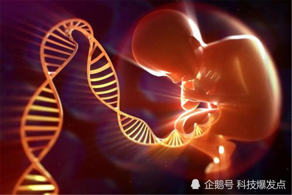 基因|能让人更强大的“基因婴儿”，2年过后，为何遭到强烈反对？