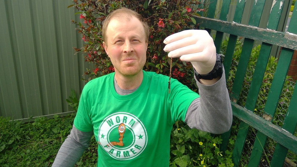 蚯蚓|搞笑诺贝尔奖物理学奖出炉，获奖者竟然把蚯蚓灌醉研究振动？