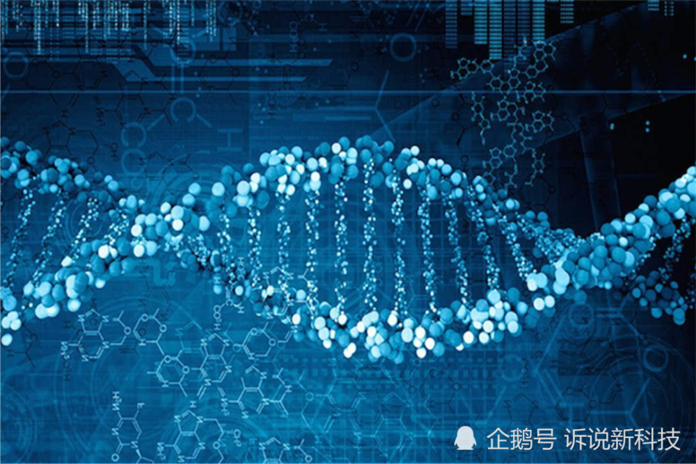 基因编辑技术|如果人类掌握了基因编辑技术，活到1000岁，世界将变成什么样？