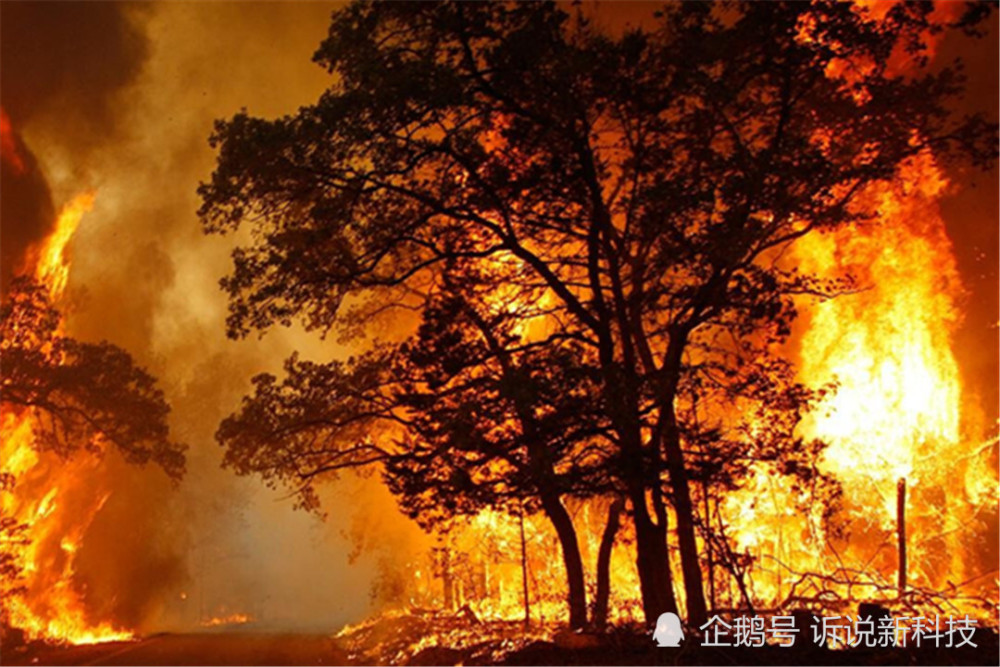 地球|氧气也是“毒药”？如果地球上的氧气超过90％，人类会怎样？