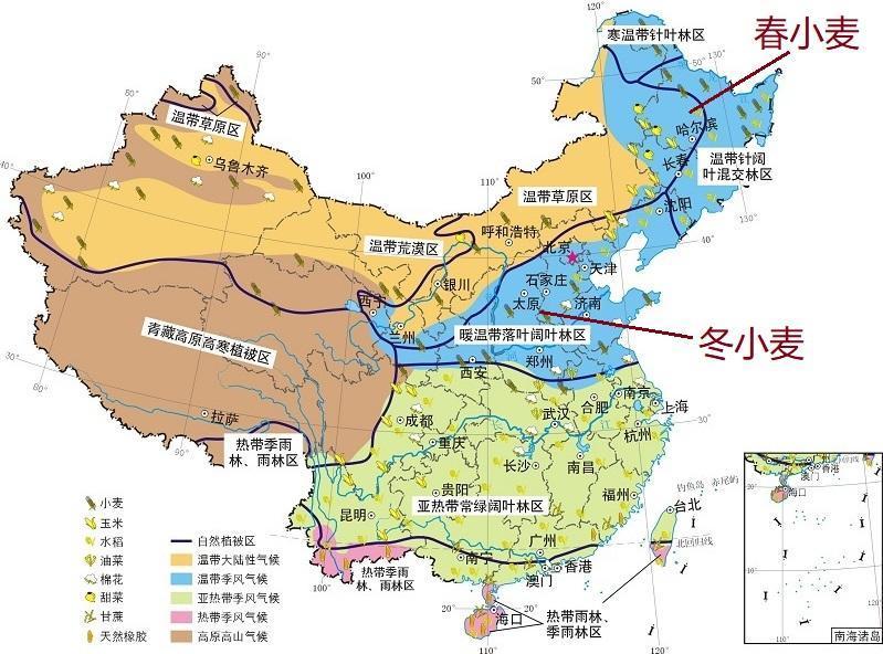 是世界上最早的小麦种植地区,小麦是旱地作物,对于水分的需求量并不高