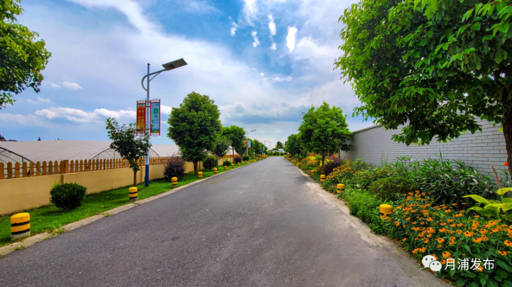 颜值翻新,月浦镇这个村华丽"蜕变"惹人爱