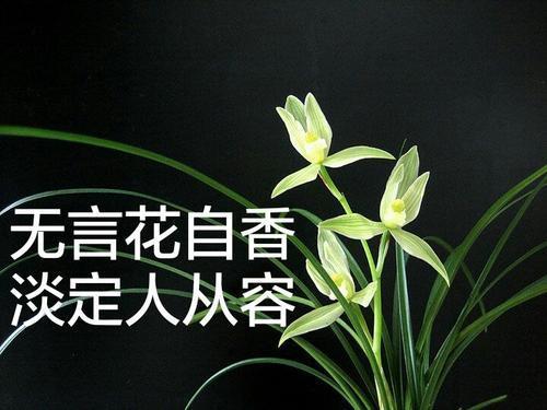 怎么才能让一个人淡定从容?