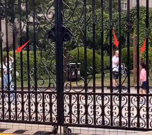 李小璐|李小璐对于网友关于“草莓印”的疑问给予解释称最近脖子做了个小手术