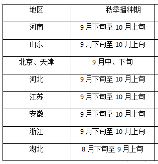 大蒜|秋播大蒜播种过早过晚都不好？今年啥时播种最适宜？农户别做错了
