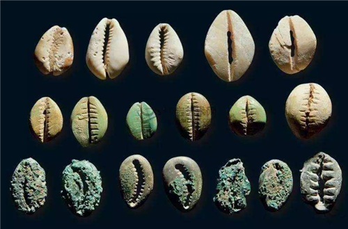 货币|古代贝壳是通用货币，为何穷人不去海边捡贝壳致富？原因很简单