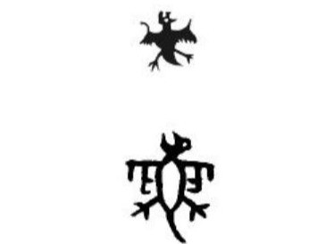 蝙蝠|为什么蝙蝠是哺乳动物，却是“虫”字旁？