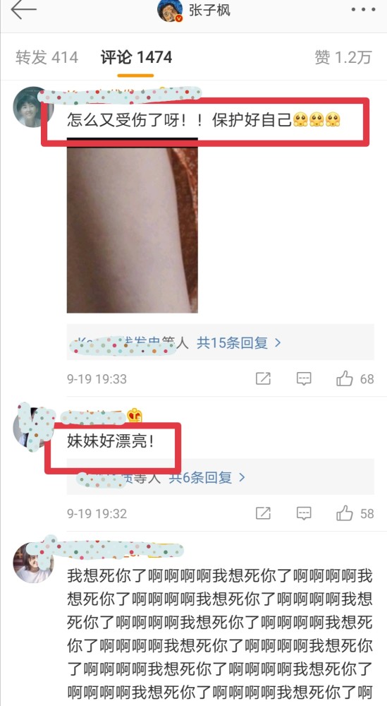 张子枫|张子枫卡点晒美照，显微镜粉丝却看到了伤口，太心疼了