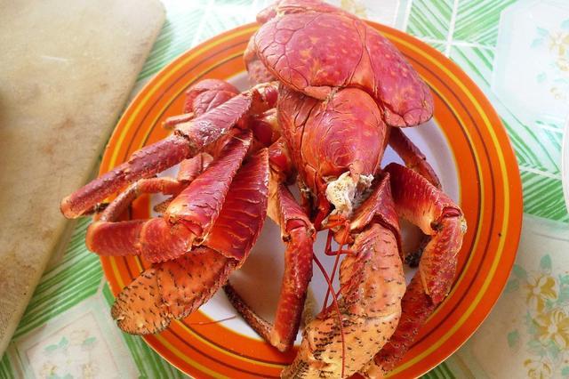 螃蟹|陆地上最大的螃蟹，以水果为食，重达12斤，却难逃吃货一张嘴