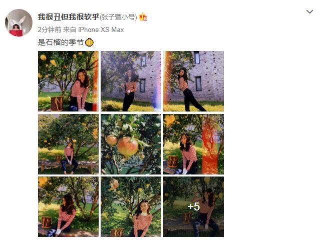 张子萱|张子萱晒陈赫视角美照，石榴树下嘟嘴不停凹造型，细腰长腿超抢镜