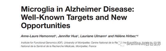 小胶质细胞|综述：小胶质细胞在AD中的研究共识与新方向（上）