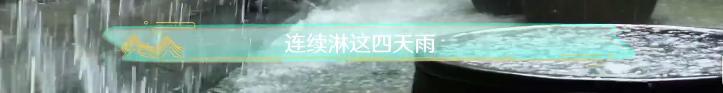 刘老根4|58岁范伟曝近况！身形消瘦为拍戏连淋4天雨，或将出演刘老根4